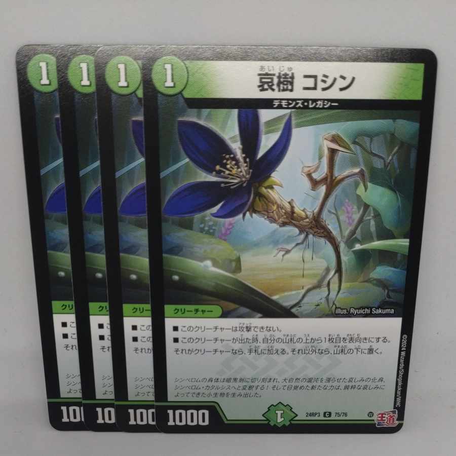 Aiju, Koshin C 75/76