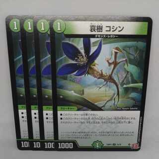 Aiju, Koshin C 75/76