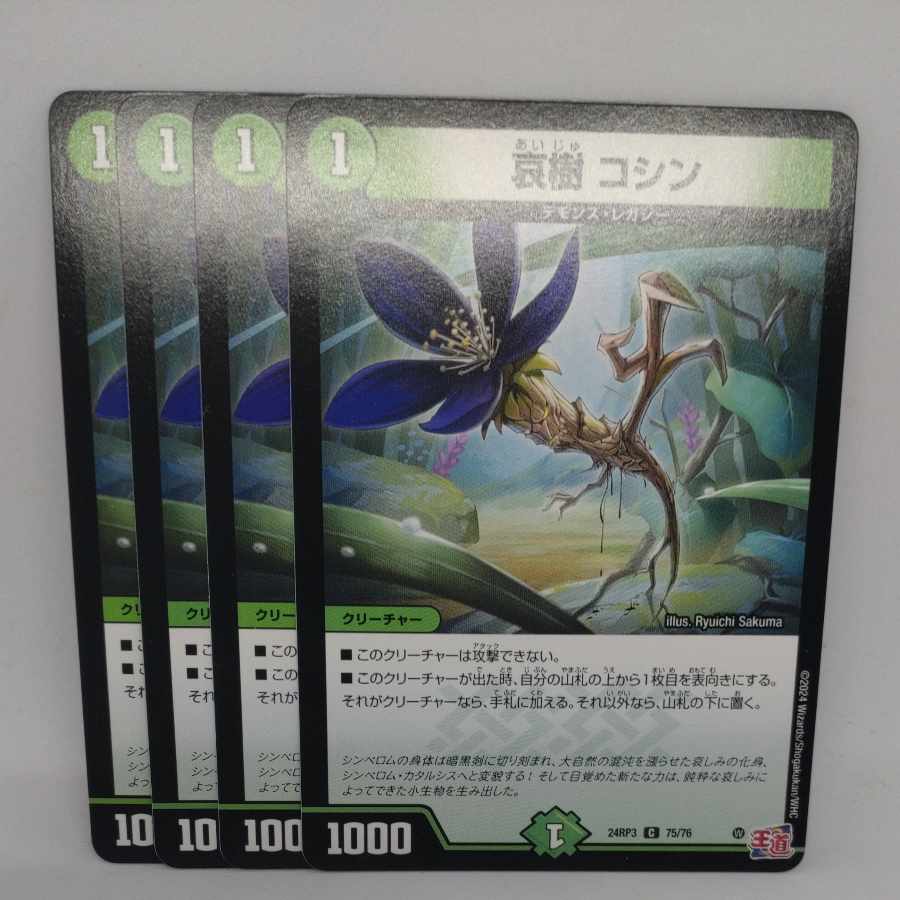 Aiju, Koshin C 75/76