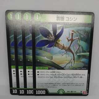 Aiju, Koshin C 75/76