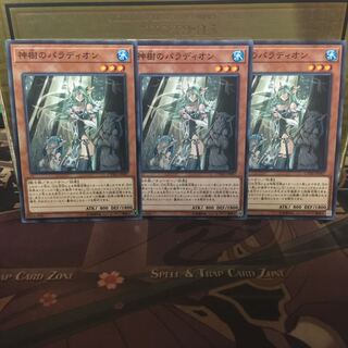 アンコウ 遊戯王 神樹のパラディオン 3枚