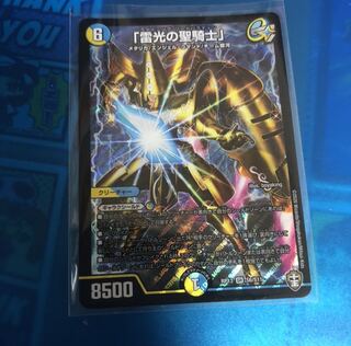 「雷光の聖騎士」