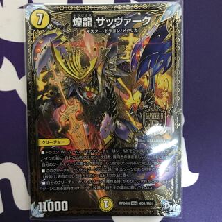 煌龍 サッヴァーク