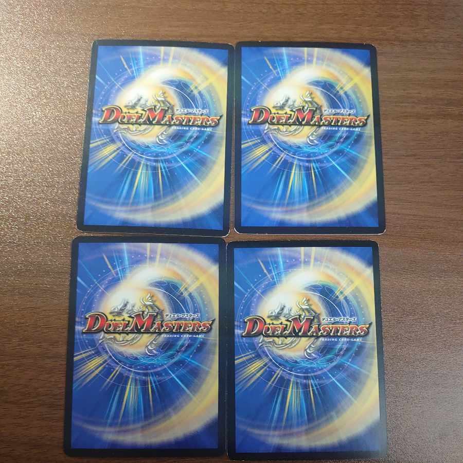 スローリー・チェーン R 67/???