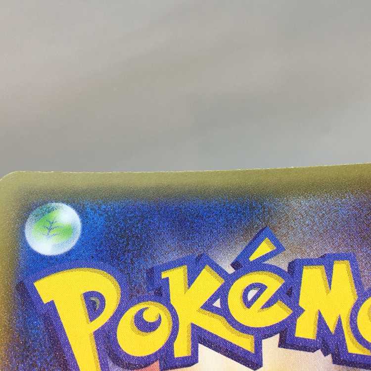 Scoop Up Net UR 114/096