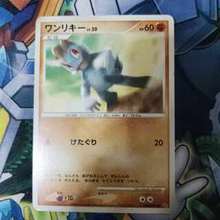 カイリキーLＶ60