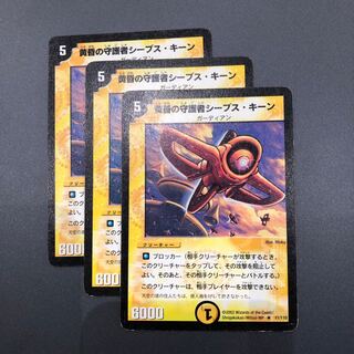 シーブスキーン 3枚セット