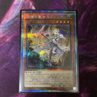 ぽたぽた様専用教導の聖女エクレシア PSE