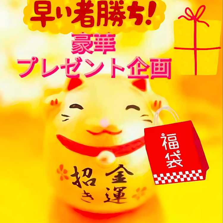 Present project Star Sue Fukubukuro