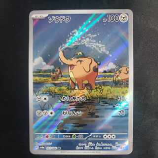 ゾウドウ AR 073/064