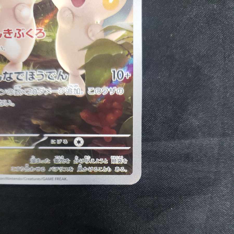 Pachirisu AR 084/078