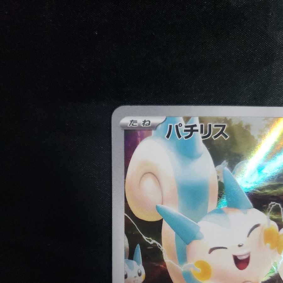 Pachirisu AR 084/078