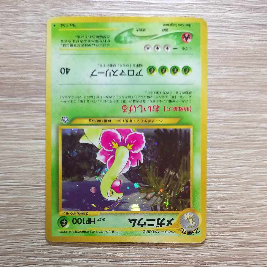 Meganium Kira Old back ★