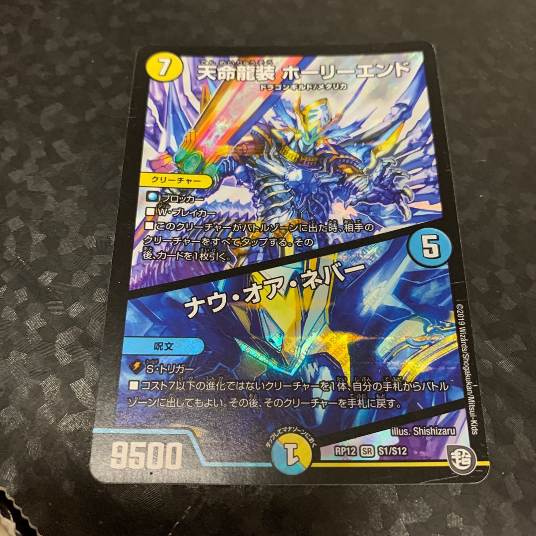 天命龍装 ホーリーエンド/ナウ・オア・ネバー