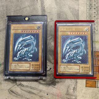 レリブル青、紫2枚セット