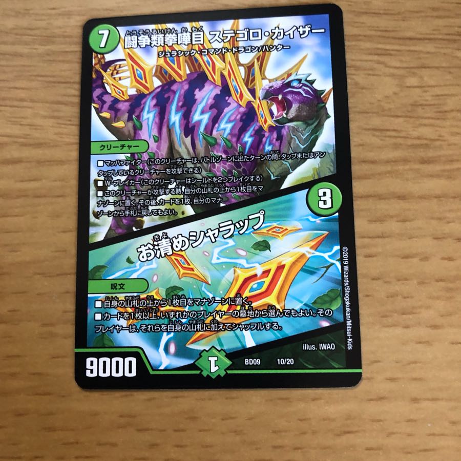 ステゴロカイザー