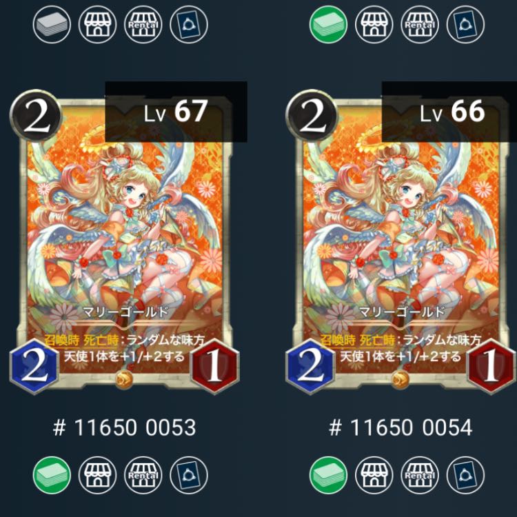 白文明 マリーゴールド 2枚セット