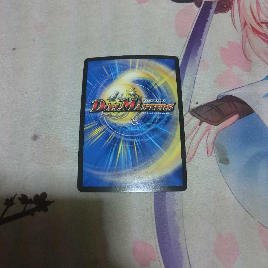 無双の縛り 達閃|パシフィック・スパーク