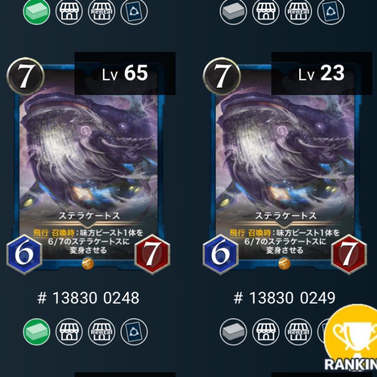 青文明 ステラケートス 2枚セット