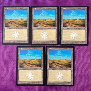 沼 7ed 7版 foil 24枚セット 日本語 旧枠 基本土地 mtg 沼 7ed 7版 foil 24枚セット 日本語 旧枠 基本土地 mtg FOIL