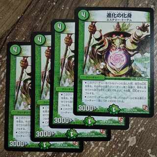 Evolution incarnate R 24/56