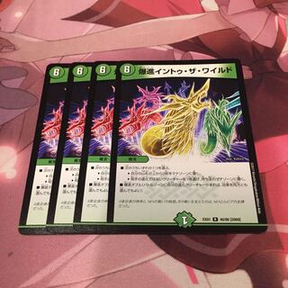 爆進イントゥ・ザ・ワイルド」の激安通販 | magi