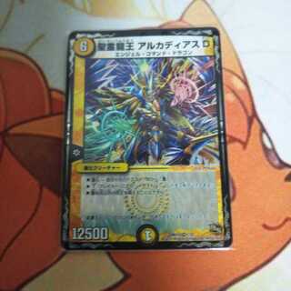 聖霊龍王アルカディアスD