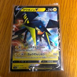 クワガノンV トゲキッスlove様専用