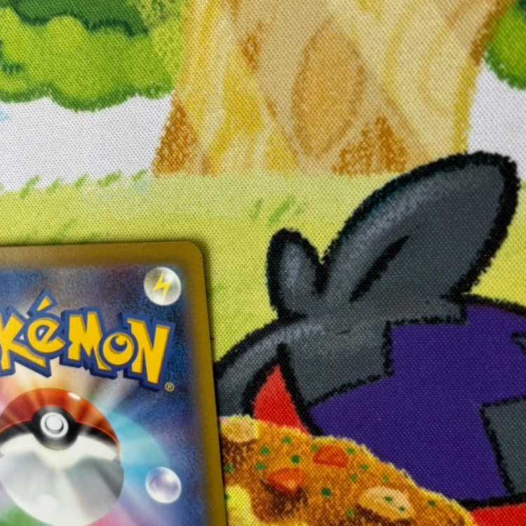 S6 Rhododendron SAR 242/172