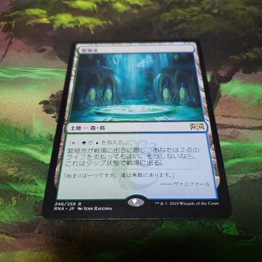 繁殖池【日本語】【RNA】