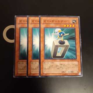 ゼロ・ガードナー　wstorm