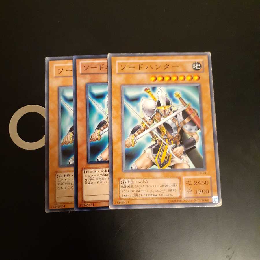 ソードハンター wstorm