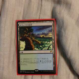 ヤヴィマヤの沿岸