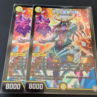 煌メク聖壁 灰瞳