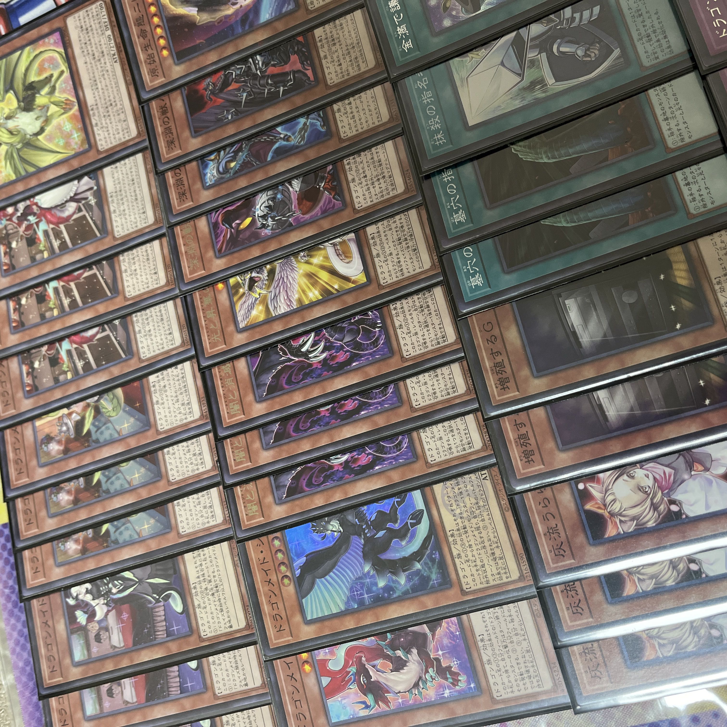 遊戯王 ドラゴンメイド ガチデッキ 竜王ドラメ EXあり VS 遊戯王 ドラゴンメイド ガチデッキ 竜王ドラメ EXあり VS