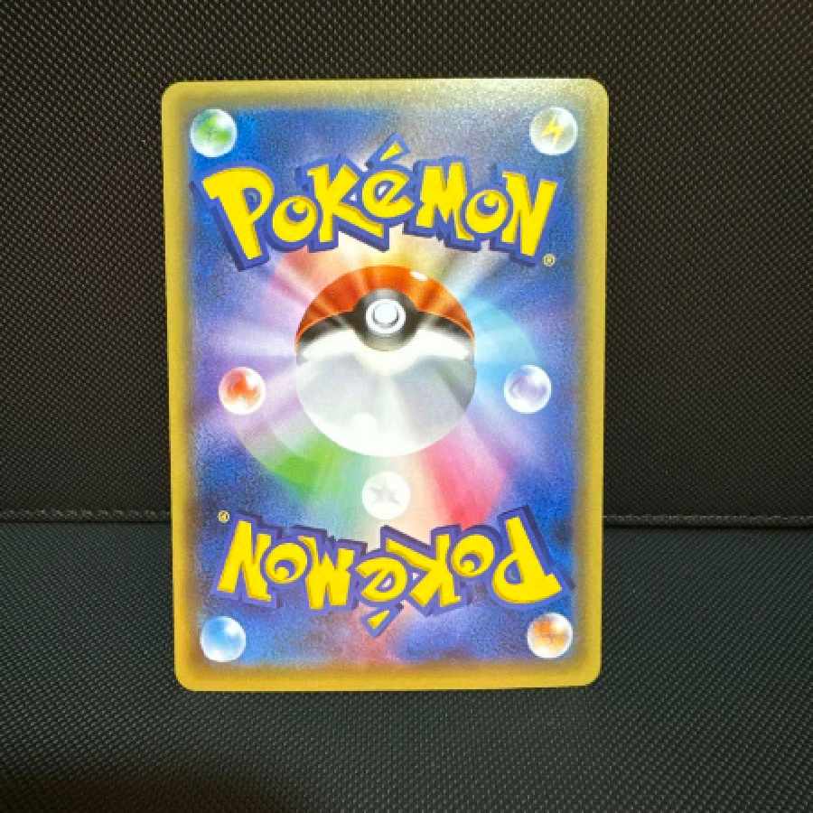 Pikachu in poncho black Rayquaza