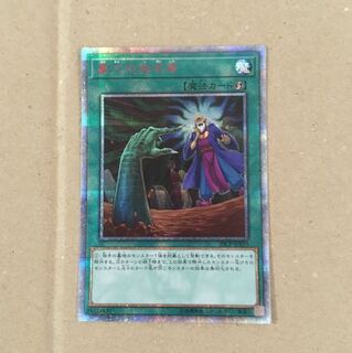 墓穴の指名者 20th シークレット