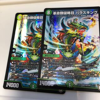 パラスキング2枚