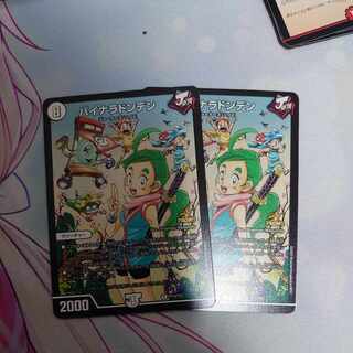 Binaladonden VR 1/110