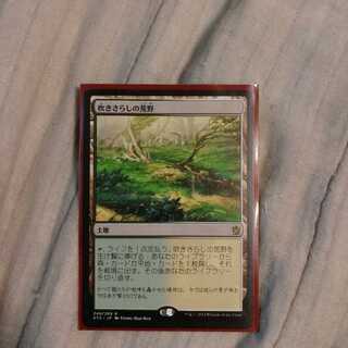 吹きさらしの荒野