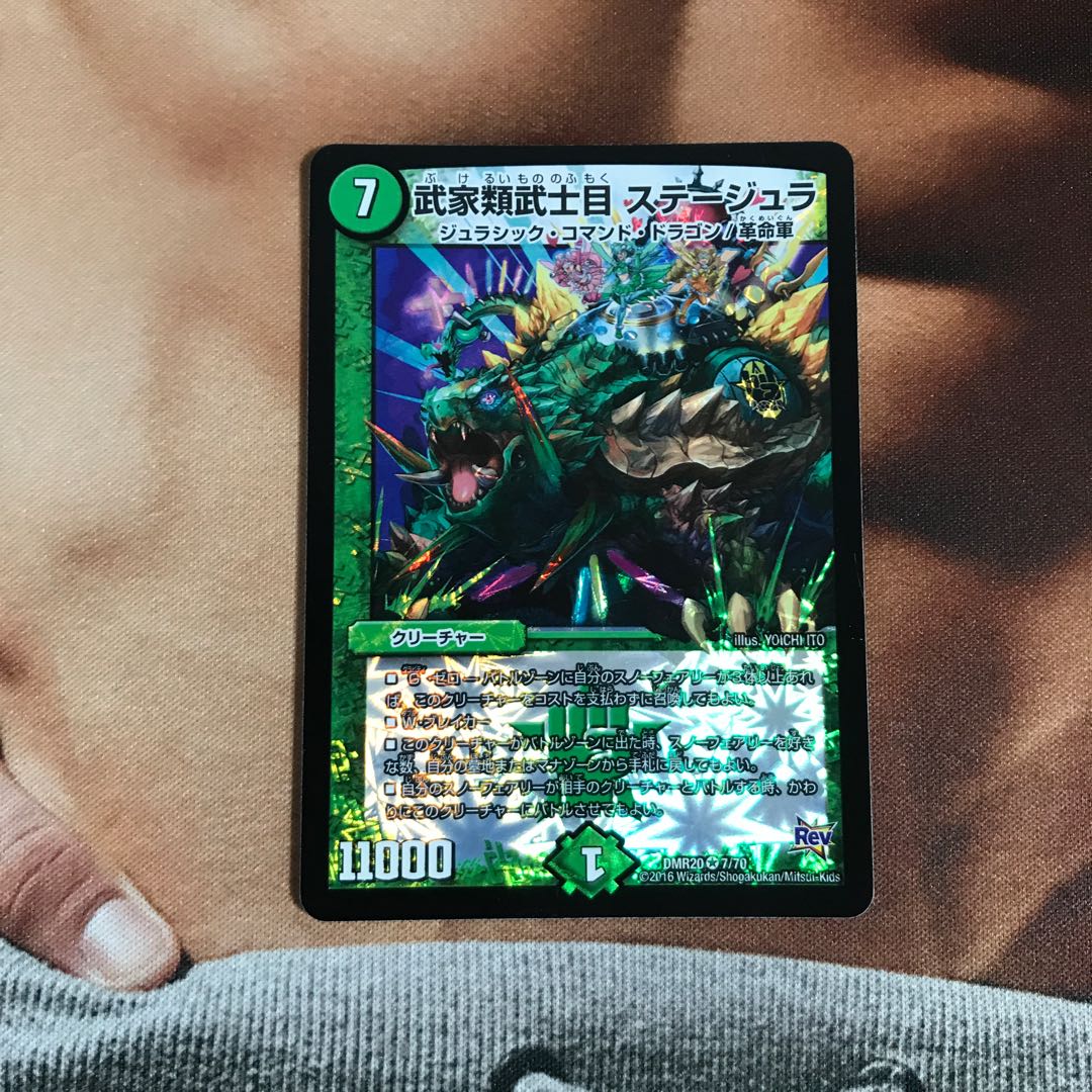 武家類武士目 ステージュラ