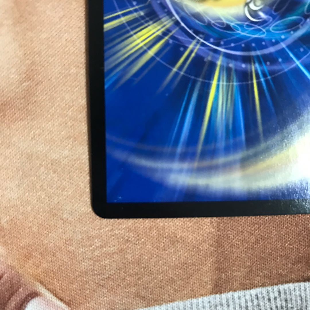 武家類武士目 ステージュラ