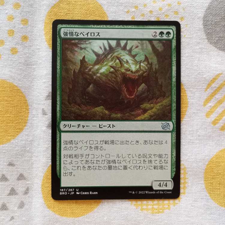 強情なベイロス