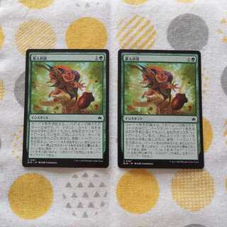 storing all one's possessions