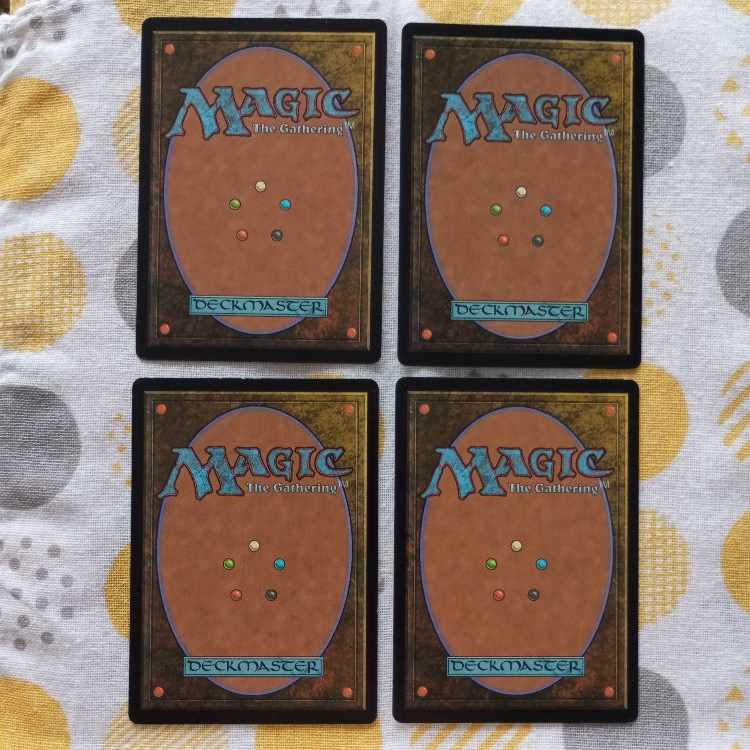 サルーリの世話人