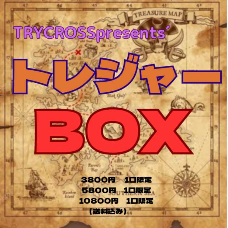 For the exclusive use of Mr. Yusuke Rin