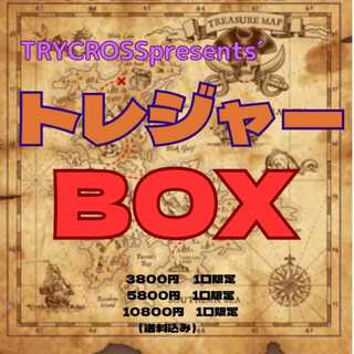 For the exclusive use of Mr. Yusuke Rin