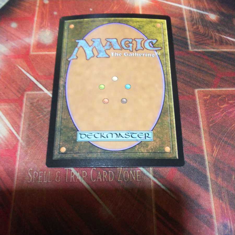 百以上出品、空猫の君主、傷、foil、MTG