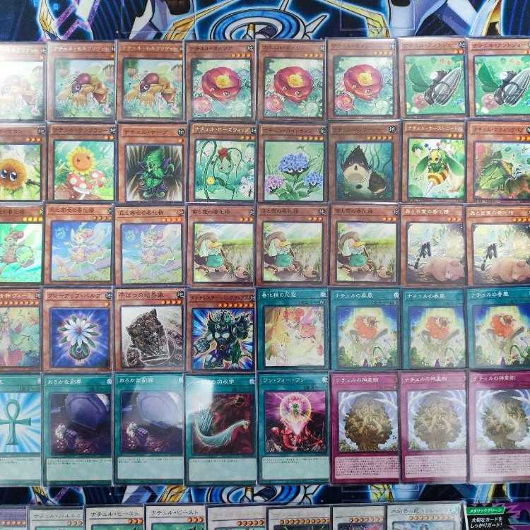 山屋　即日発送　ナチュルデッキ　構築済みデッキ　苗と霞の春化精　ナチュル・ローズウィップ　ナチュル・アントジョー　ナチュル・スティンクバグ