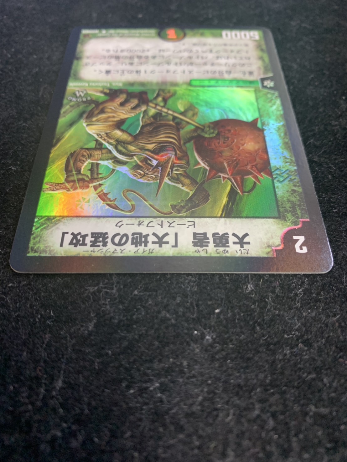 [State A-] Barkwhip, the Smasher [-] {PRWINNER} [Nature